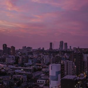 korean Gay Fuck XXXX浪小辉
